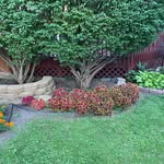 Chip Wood - @chip_wood123 - Instagram