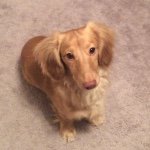 Chipper Jones - @chippergrams - Instagram