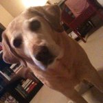 @chipperjones - Instagram