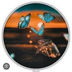 Chitra Sharma - Facebook