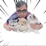 Alan Chiu - @chiukwokheung - Instagram