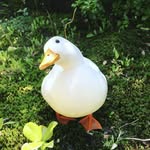 Chiu Kwok Ho - @chiu_kwok_ho - Instagram