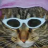 Kwok Chiu Lam - @kwokchiulam - TikTok
