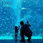 Chiung Hsien Her - @chiunghsienher - Instagram