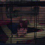 chloë - @_chloe_austin_ - Instagram