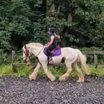 Chloe Baird - @chloe_b2411 - Instagram