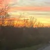 chloe ball - @chloe_ball45 - TikTok