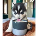 chloe - @chloe_bautista___ - Instagram