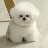 chloe - @chloebautista_ - TikTok