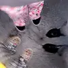 Chloe👑 - @chloe.berry2 - TikTok