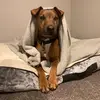 Chloe - @.chloebond - TikTok