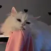 Chloe Bond - @chloe.bond51 - TikTok