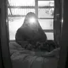 chloe burgess - @chloe.burgesssss - TikTok