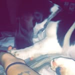 chloe - @chloe.coffman.7 - Instagram