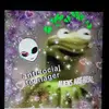 Chloe Cuellar - @babykermithefrog - TikTok