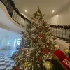 chloecuellar - @chloecuellar242 - TikTok