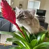 Chloe Daniel - @chlochloe56 - TikTok