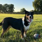 Chloe Doyle - Facebook