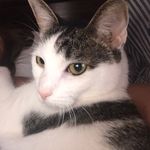Chloe’ Elizabeth Friedman - @chl.oecat - Instagram