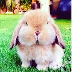 chloe granger - @chloegranger660 - Instagram