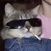 Chloe Heath - @chloeeheath - TikTok