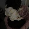 ChloeEingram66 - @chloeeingram66 - TikTok