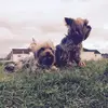 Chloe Kirk - @chloekirk12 - TikTok