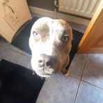 Chloe Lynch - Facebook
