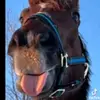 Chloe Mann - @chloemann.101 - TikTok