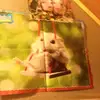 Chloe Marsh - @chloe_boie - TikTok