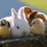 CHLOE MCCORMICK - @ship.hobbys.tiktok - TikTok