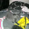 chloe.mcwilliams - @chloe.mcwilliams1 - TikTok