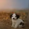 ChloeNicholson - @user52120283605293 - TikTok