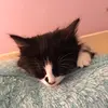 Chloe Noel - @chloe._.noel - TikTok