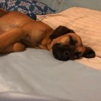 Chloe Pennington - Facebook