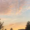 chloee_peytonn - @chloee_peytonn - TikTok