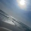 chloepeyton08 - @chloepeyton08 - TikTok