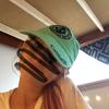 chloe_phelps - @chloe_phelps0 - TikTok