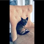 Hi - @chloerappah - Instagram