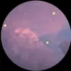 Chloe Russo - @chloerusso2004 - TikTok