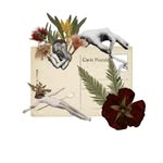 Chloe Ryan - @chloeryan.design - Instagram