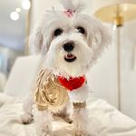 Chℓσê - @chloearsova - Instagram