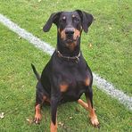 Chloe Spence - Facebook