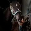 Chloe Stanfield - @chloestanfield065 - TikTok
