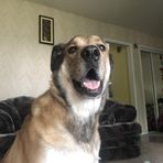 Chloe Stone - Facebook