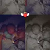 Chloe - @chloestout277 - TikTok