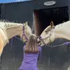 Chloe Townsend - @chlotownsend - TikTok