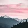 Chloe.Townsend - @chloe.townsend - TikTok