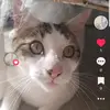 chloe - @chloe.travis1 - TikTok