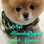 Cho Win - @cho_17204 - Instagram